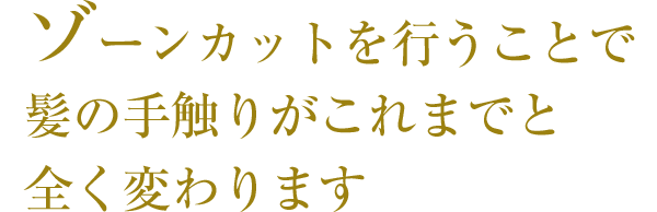 ゾーンカットを行うことで、髪の手触りがこれまでと全く変わります