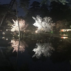 平成最後のお花見♪